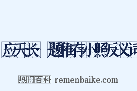 应天长·题稚存小照反义词是什么意思的图片